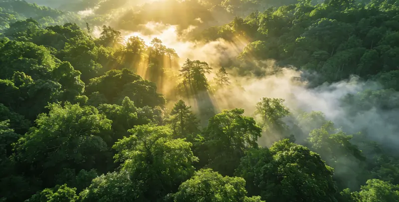 鄂州肺癌（EGFR T790M)突变检测图片1