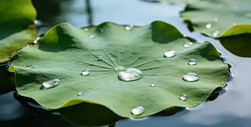 鄂州乳腺癌21基因mRNA表达分析图片1