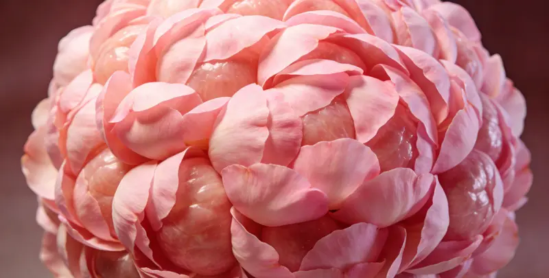 鄂州BRCA1/2乳腺癌卵巢癌基因检测图片1