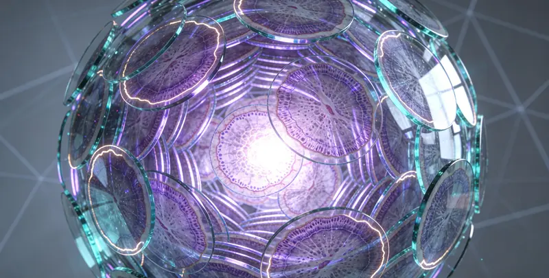 肿瘤与炎症检测图4